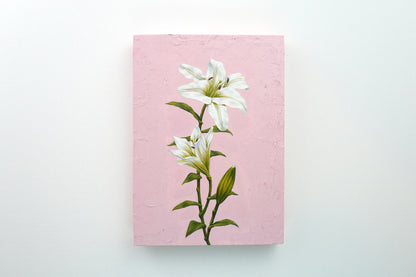 Lily