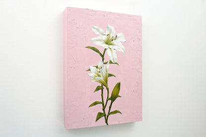 Lily