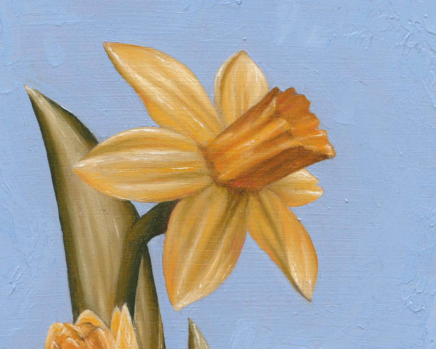 Daffodil for March | Original
