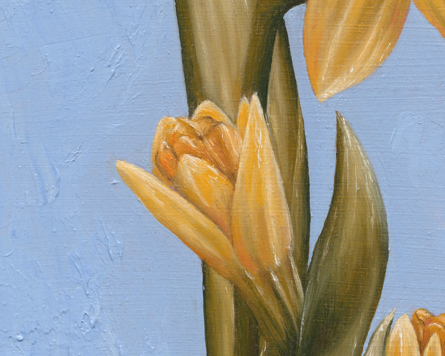 Daffodil for March | Original