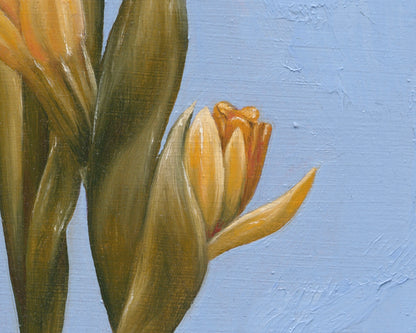 Daffodil for March | Original