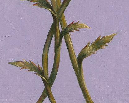 Daisy for April | Original