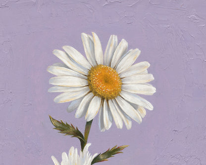 Daisy for April | Original