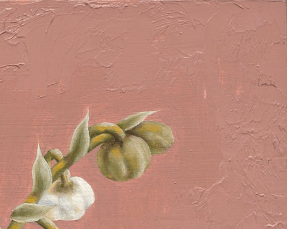 Lily of the Valley for May | Original