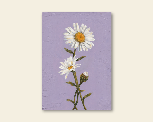 Daisy for April | Original